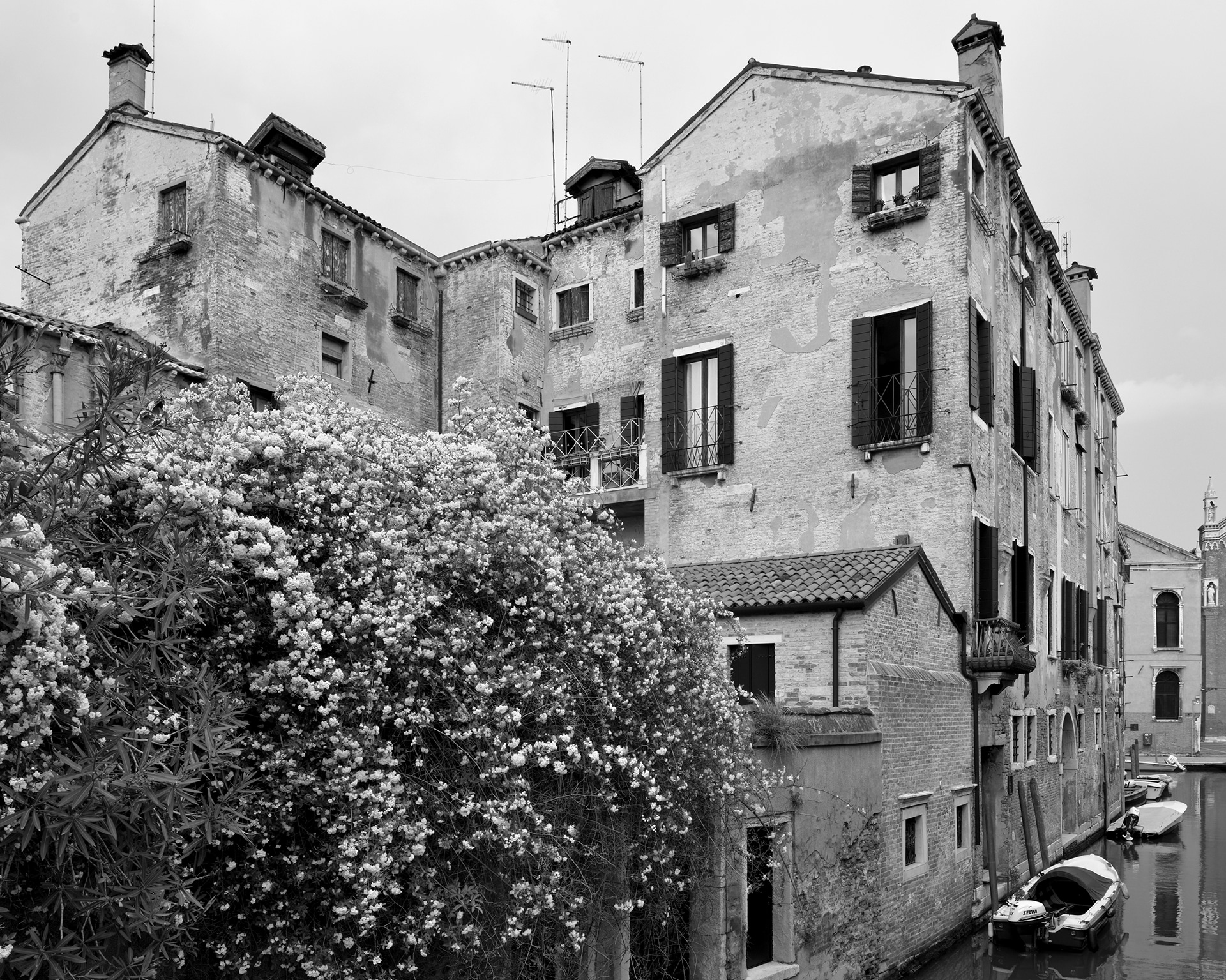 Cannaregio, Fondamenta dei Mori, 2016. Venice Urban Photo Project / Mario Peliti