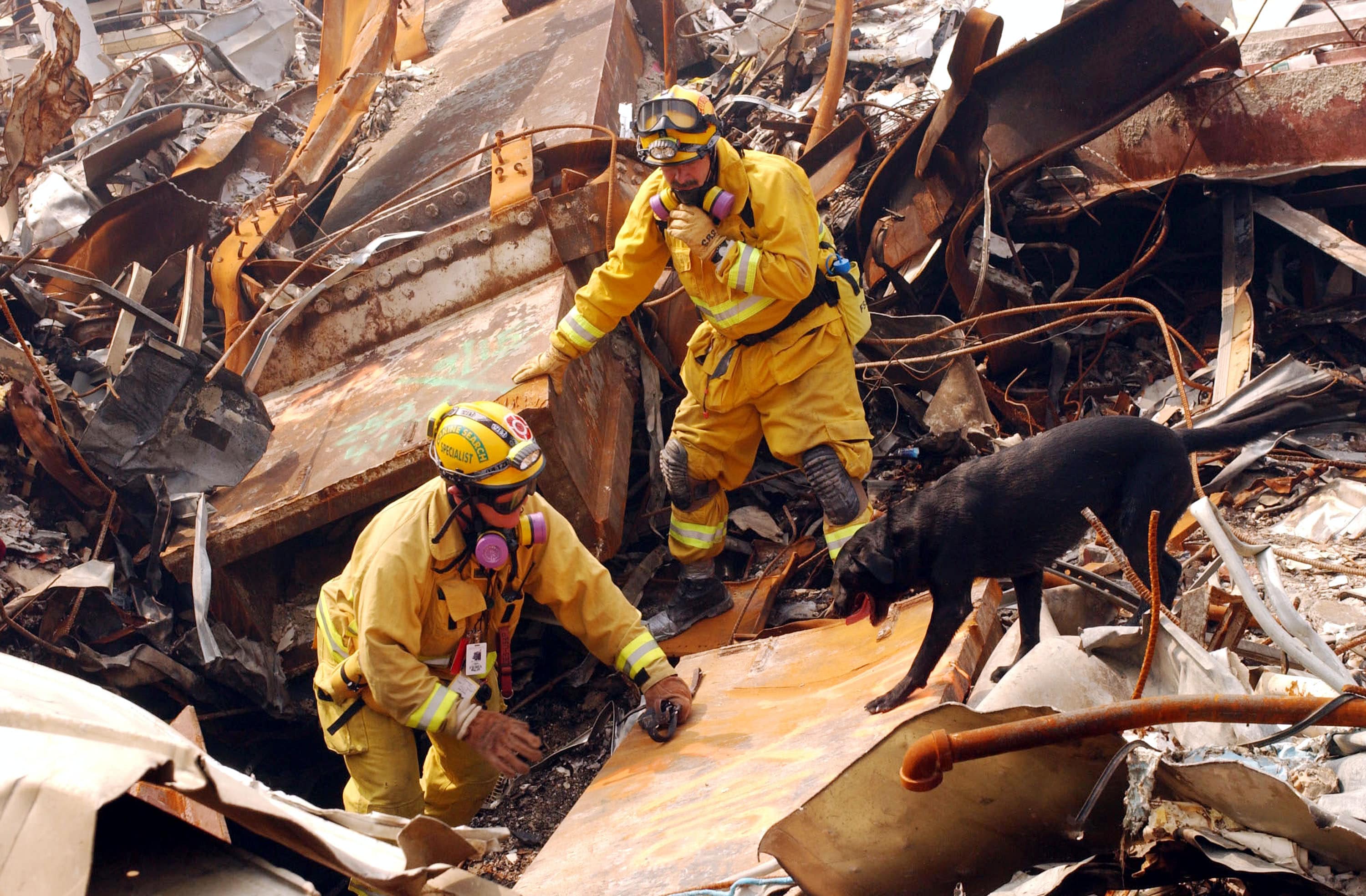 Mike Scott della California Task Force-8 e il suo cane, Billy, cercano tra le macerie le vittime 