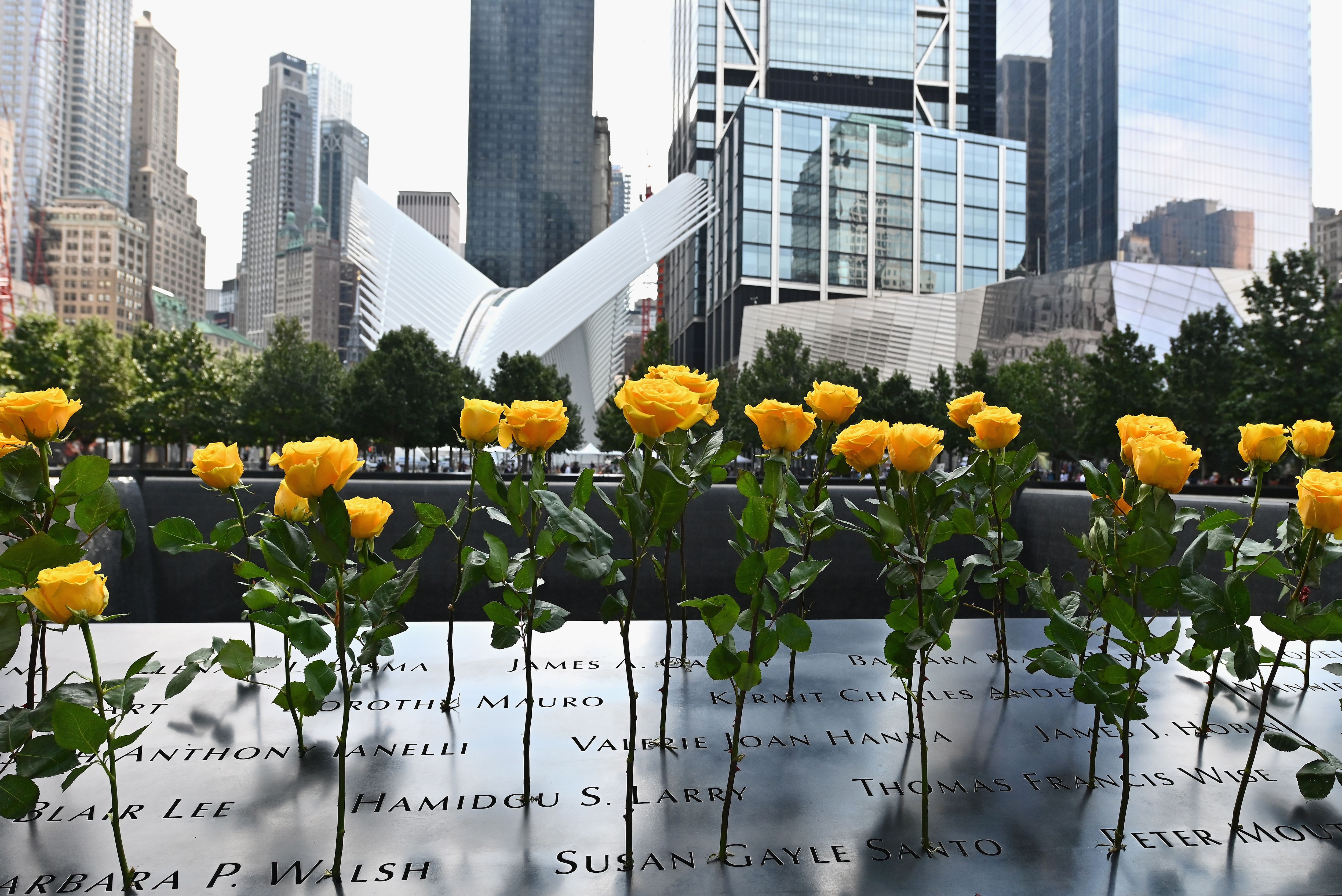 Fiori collocati al Memorial & Museum di New York, edificato nel 2011 in ricordo di tutte le vittime degli attacchi dell'11 settembre
