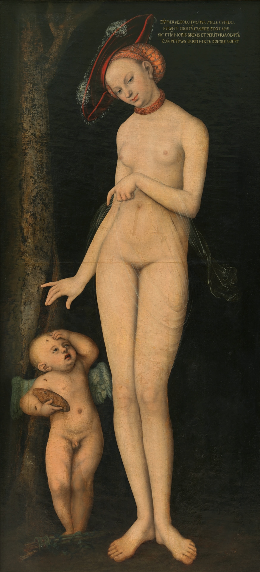 Lucas Cranach il Vecchio, Venere e Cupido con un favo di miele, 1531. Olio su tavola trasportato su tela, 176 x 80 cm, Brussels, Musées royaux des Beaux-Arts de Belgique.