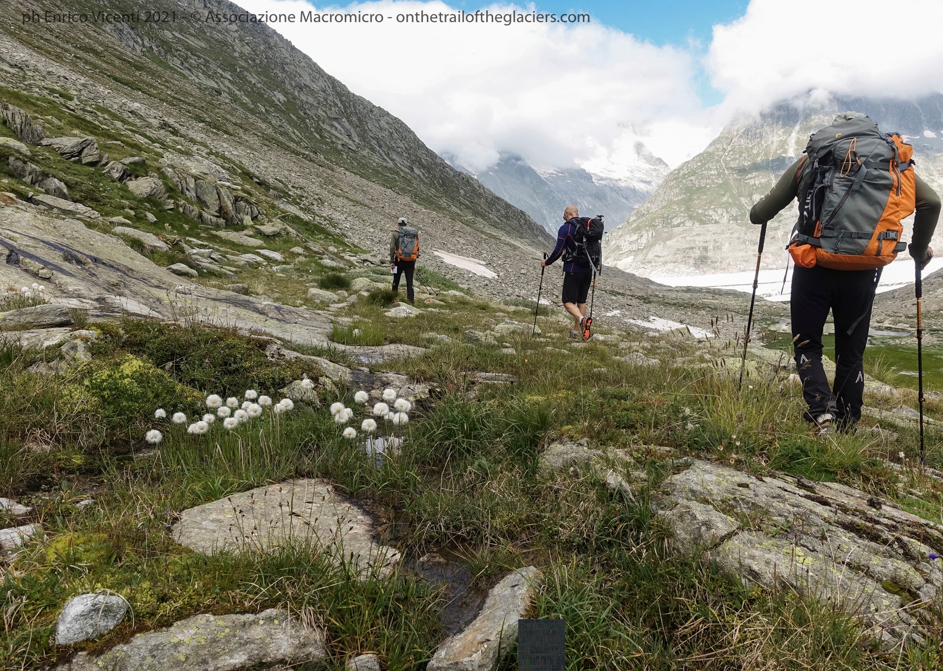 Sulle tracce dei Ghiacciai -Alpi 2021