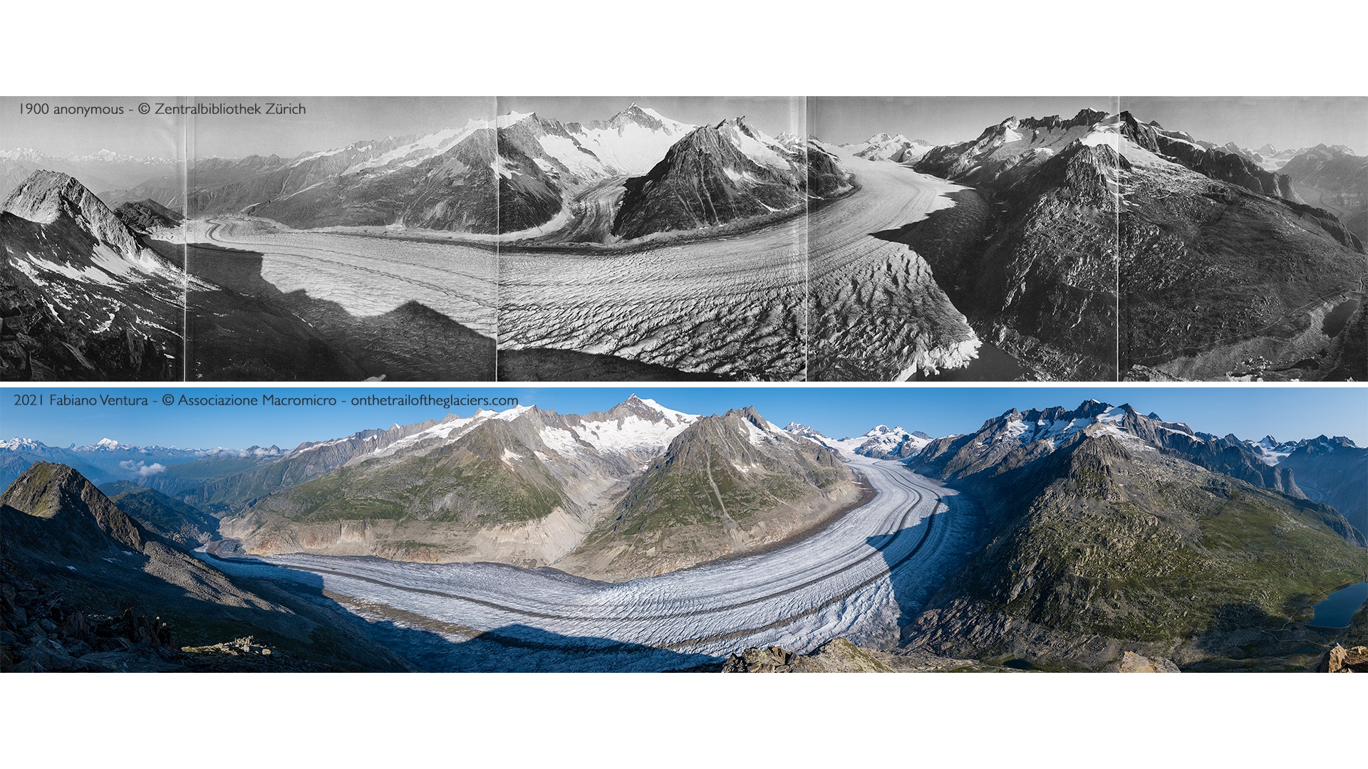 Sulle tracce dei Ghiacciai -Alpi 2021