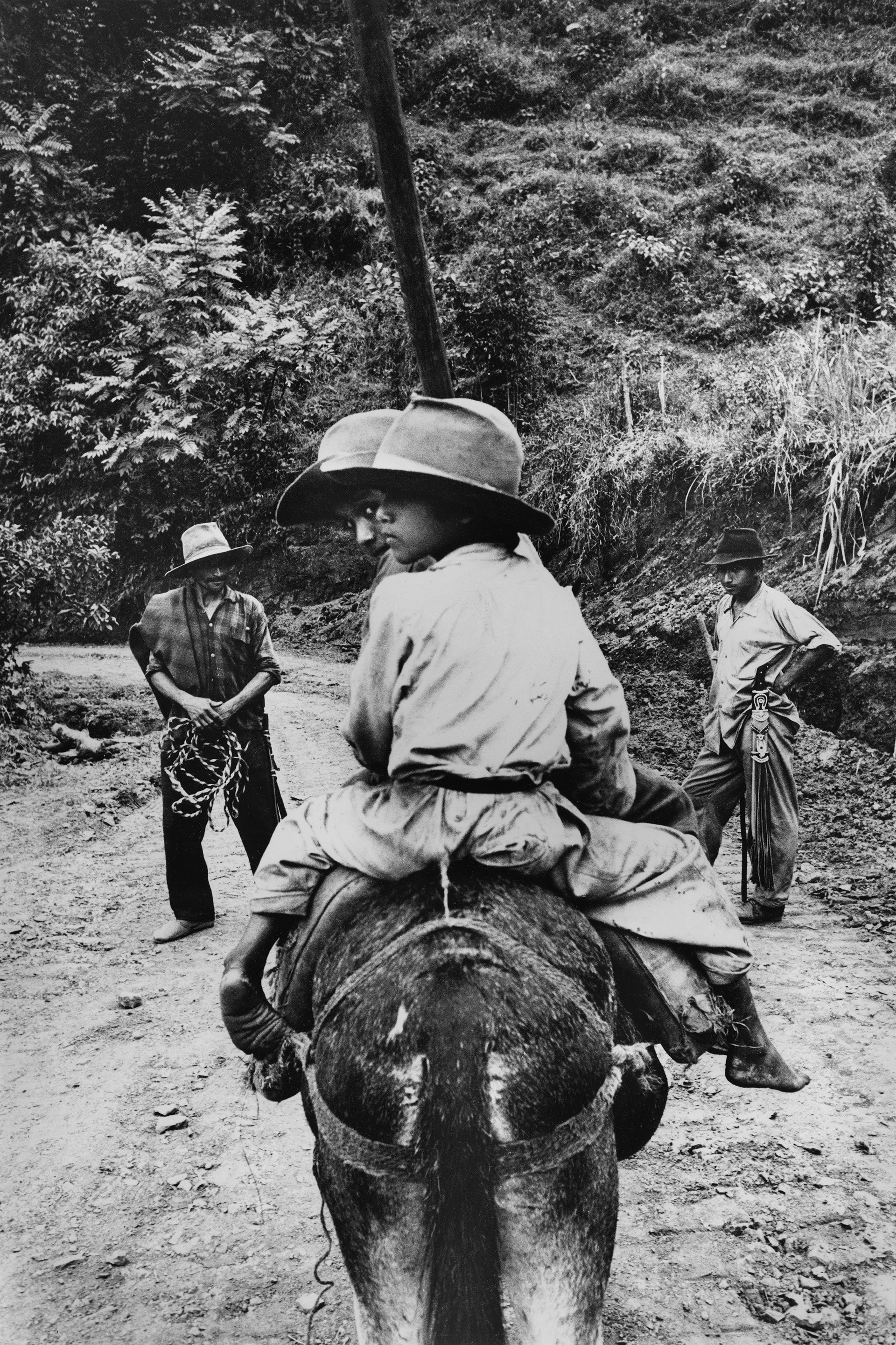 Ibaguè, Colombia, 1963, Contadini nella selva (Due ragazzi figli di contadini cavalcano un somaro. In secondo piano i padri armati di machete pronti a reagire a eventuali offese). Stampa originale d’epoca alla gelatina ai sali d’argento, 35,5 x 23,5 cm, archivio Cascio, Roma 