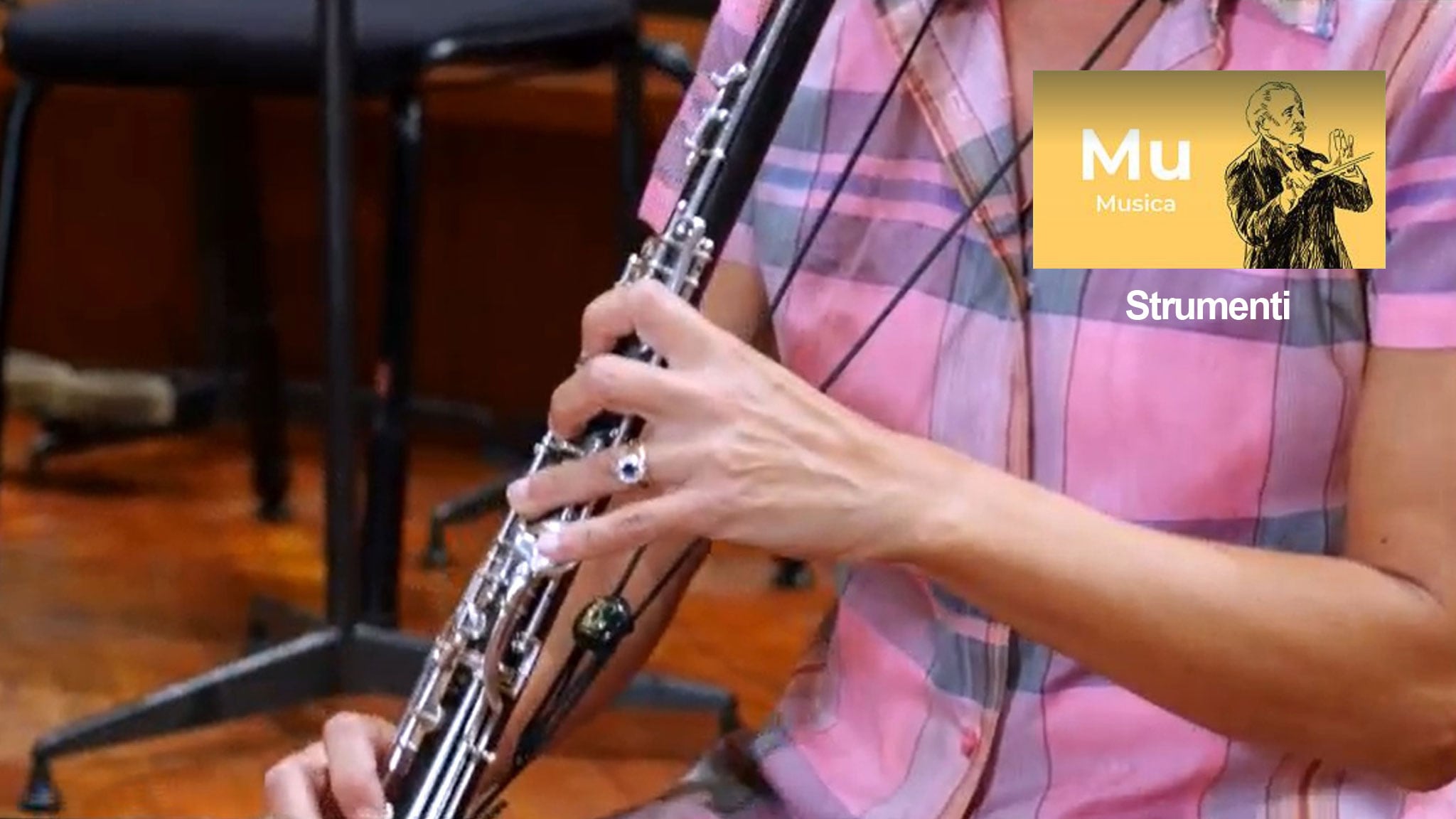 Il corno inglese Musica Rai Cultura