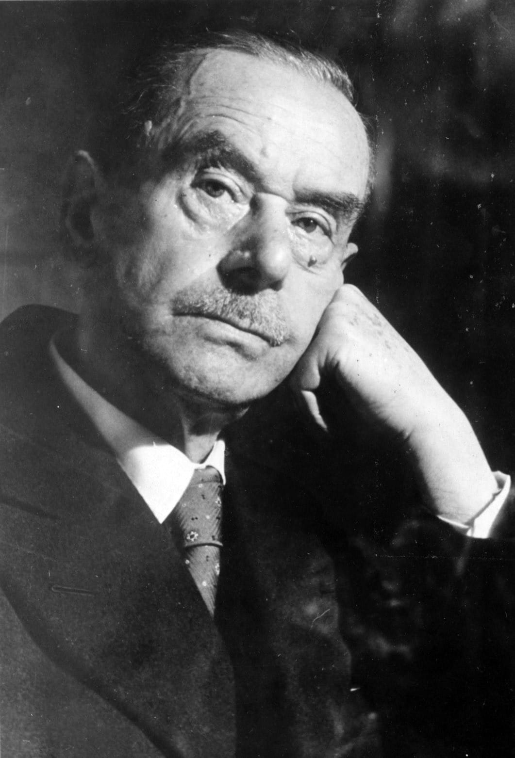 I Buddenbrook (1901) di Thomas Mann