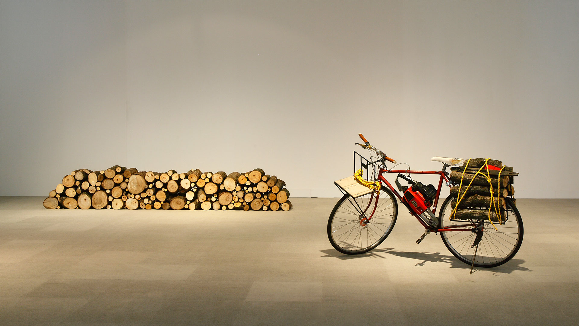 Simon Starling. METAMORFUOCO | Arte | Rai Cultura