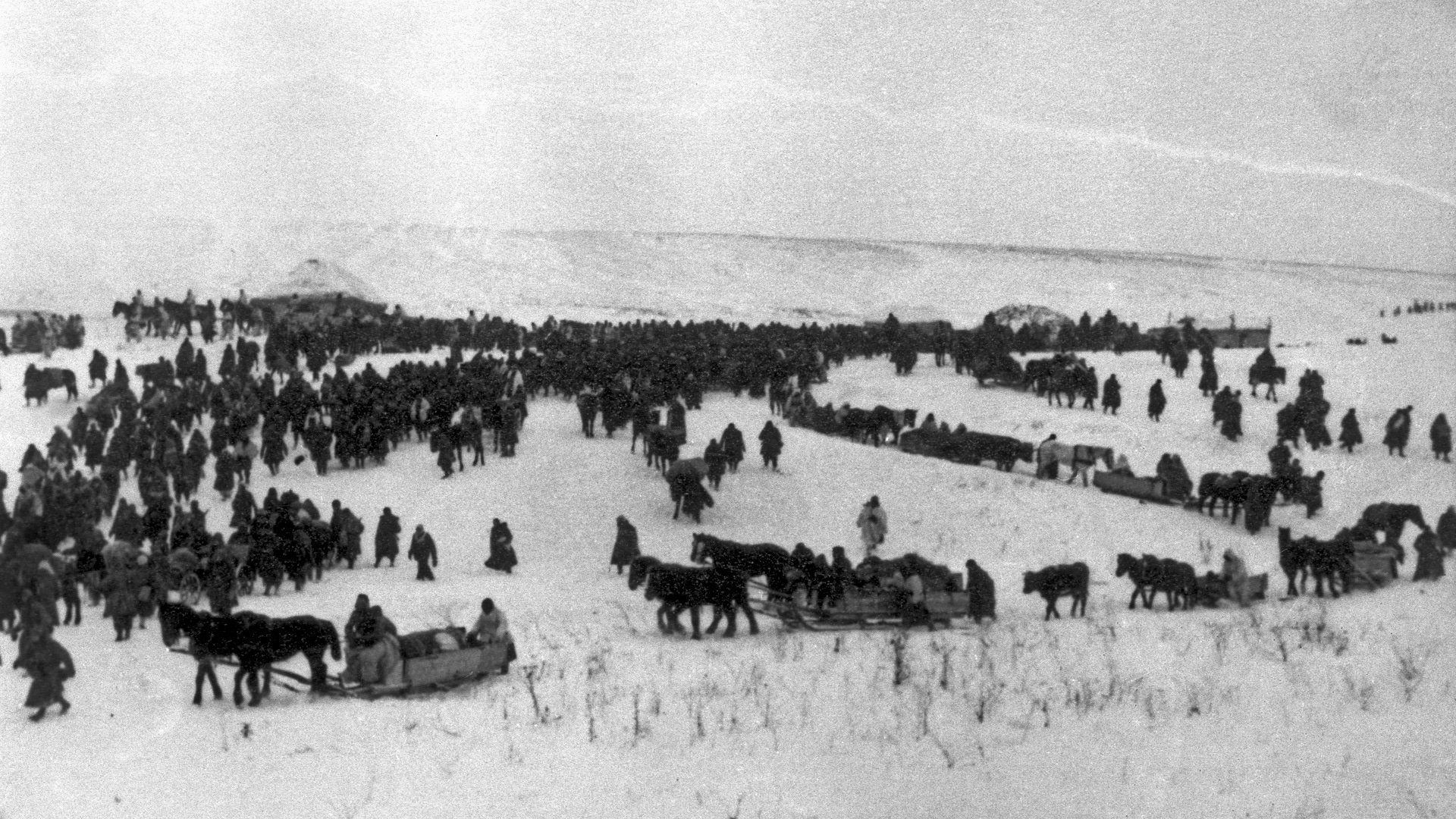 Perché La Russia Si Ritira Dalla Prima Guerra Mondiale La ritirata di Russia | Storia | Rai Cultura