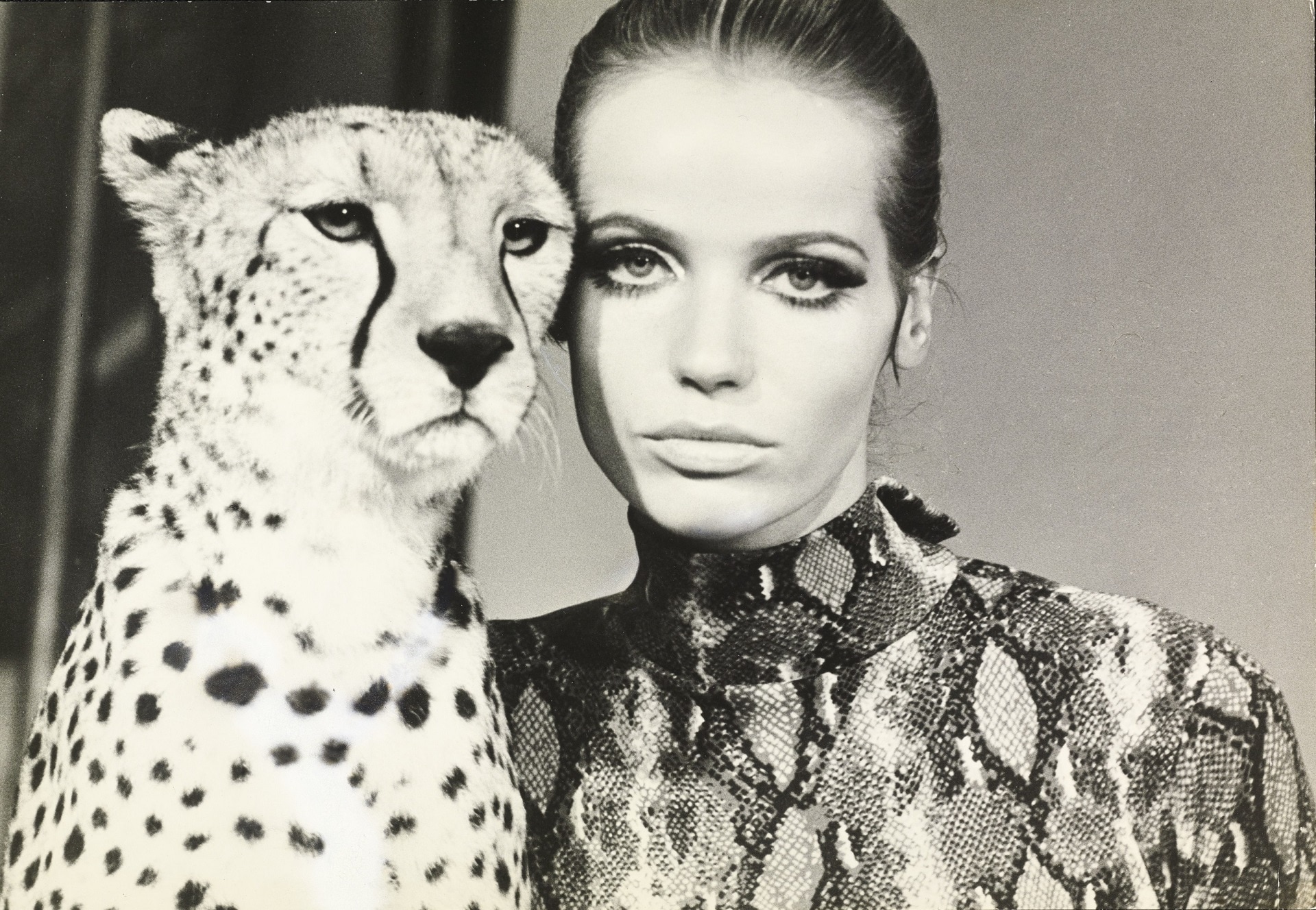 Franco Rubartelli, Veruschka, testa a testa con un ghepardo, 1967, Vogue © Condé Nast