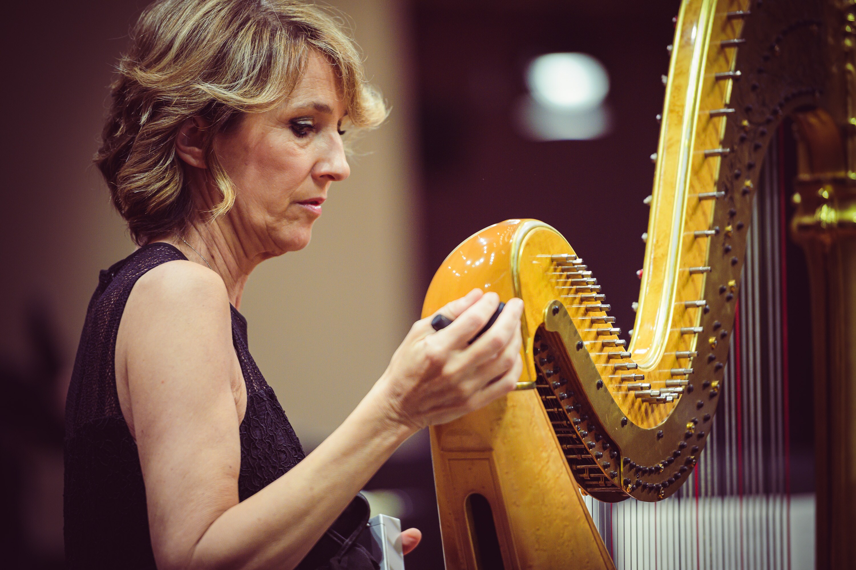 Concerto n. 20 - Stagione 2023/2024