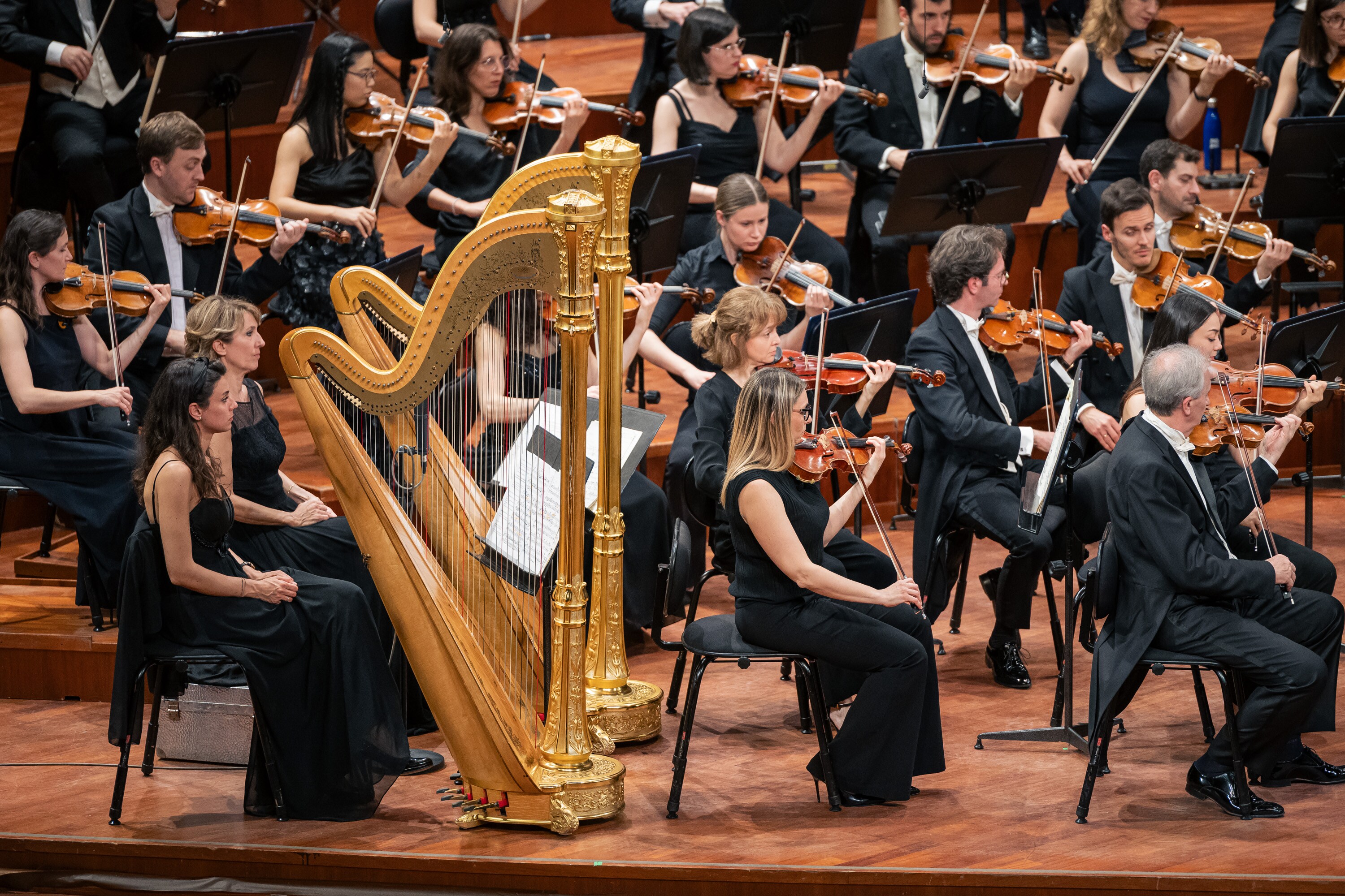 Concerto n. 20 - Stagione 2023/2024