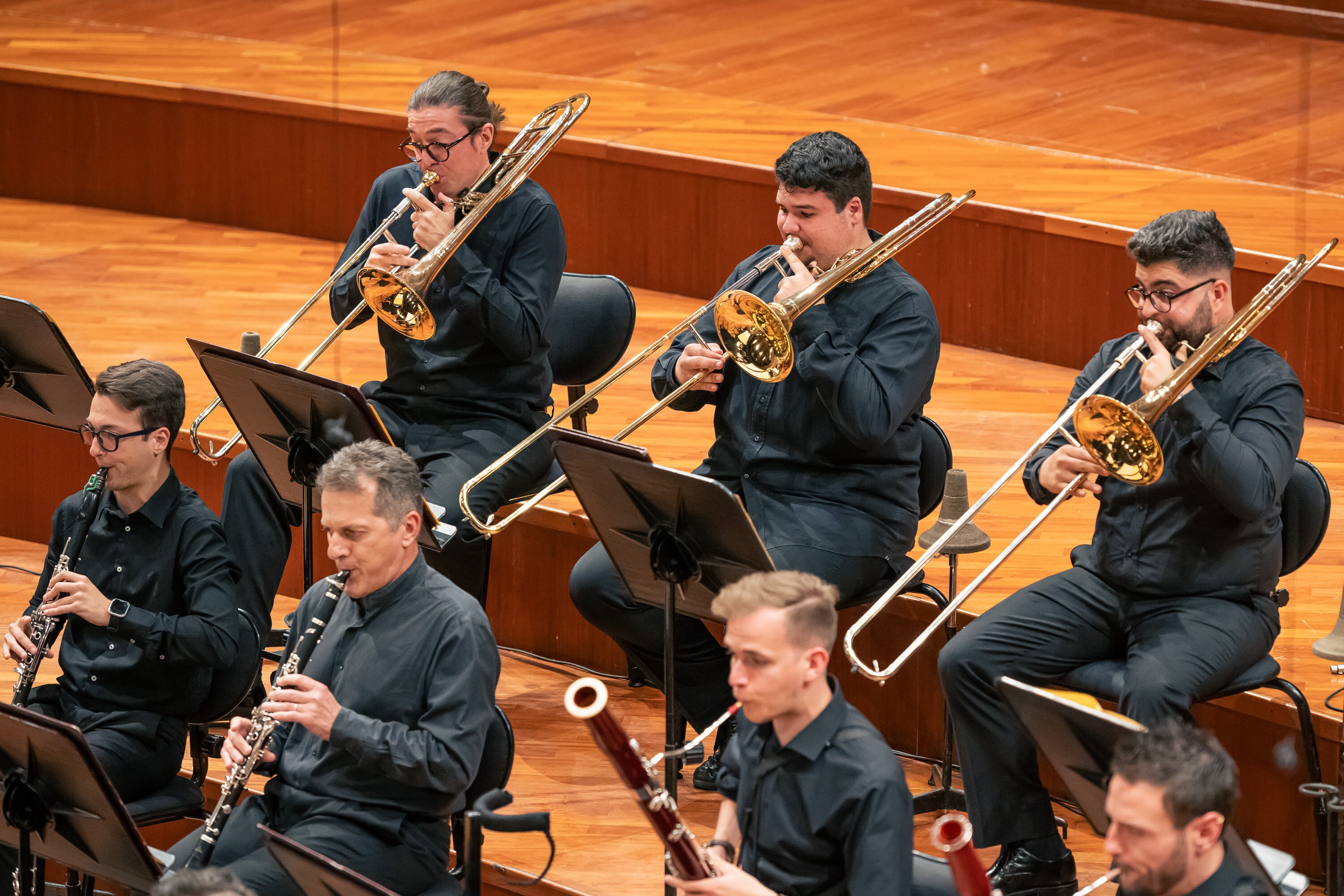 Professione Orchestra in concerto - VII edizione