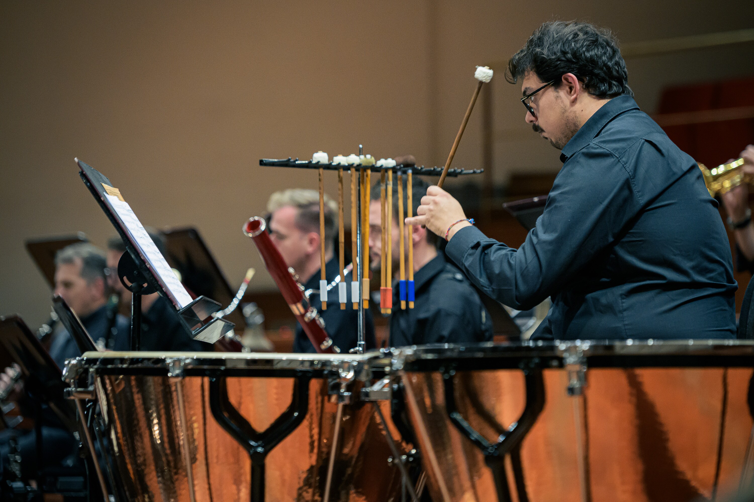 Professione Orchestra in concerto - VII edizione