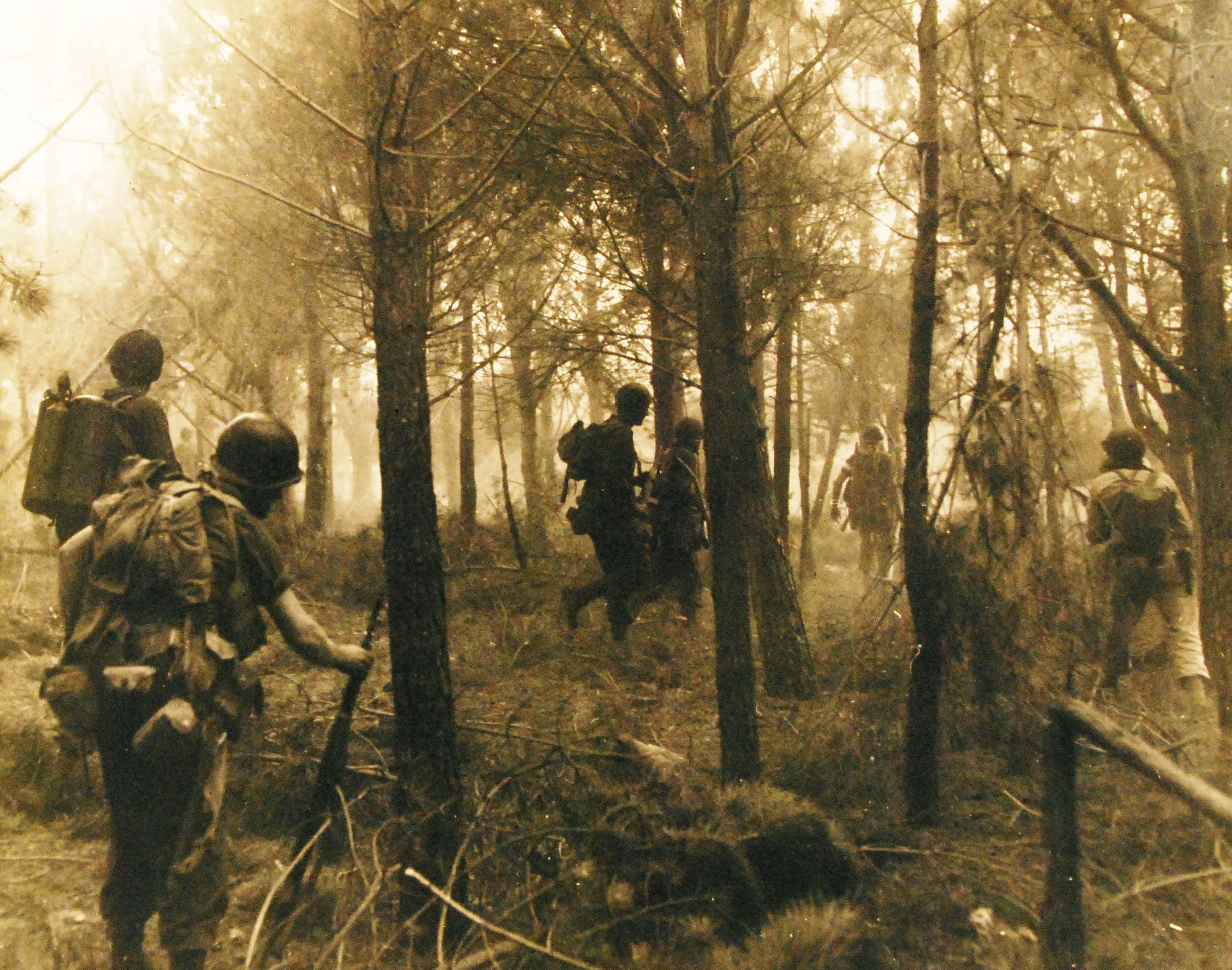 Soldati dell'esercito americano si spingono verso l'interno dopo uno sbarco praticamente incontrastato sulla costa della Francia meridionale. Questi soldati avanzano attraverso una foresta, con occhi e orecchie attenti a qualsiasi segno del nemico. Anche se non identificati, questi soldati sono probabilmente della Settima Armata. 15 agosto 1944, Francia meridionale. Fotografia ufficiale della Marina degli Stati Uniti Per gentile concessione degli U.S. National Archives 