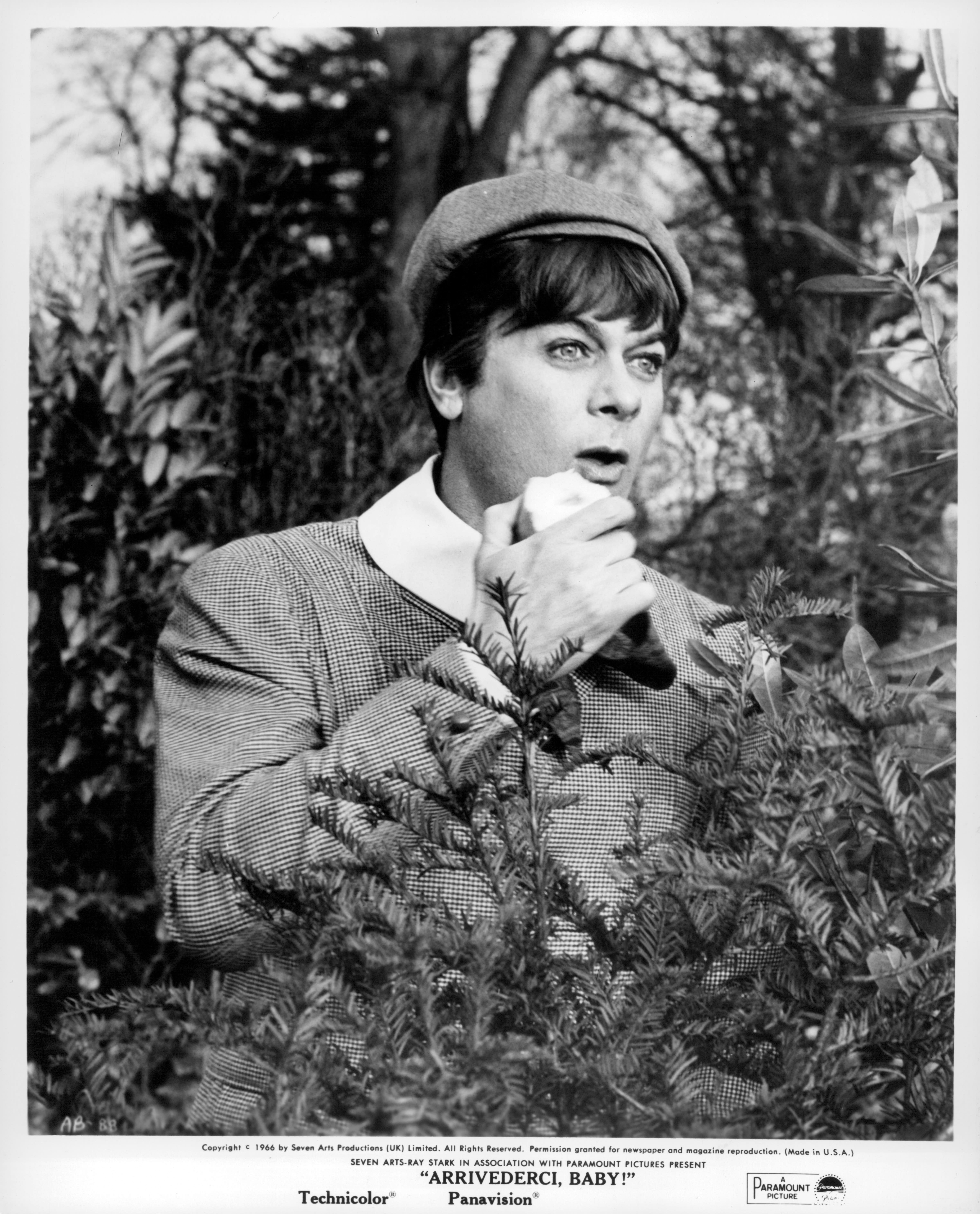 "Arrivederci Baby", 1966