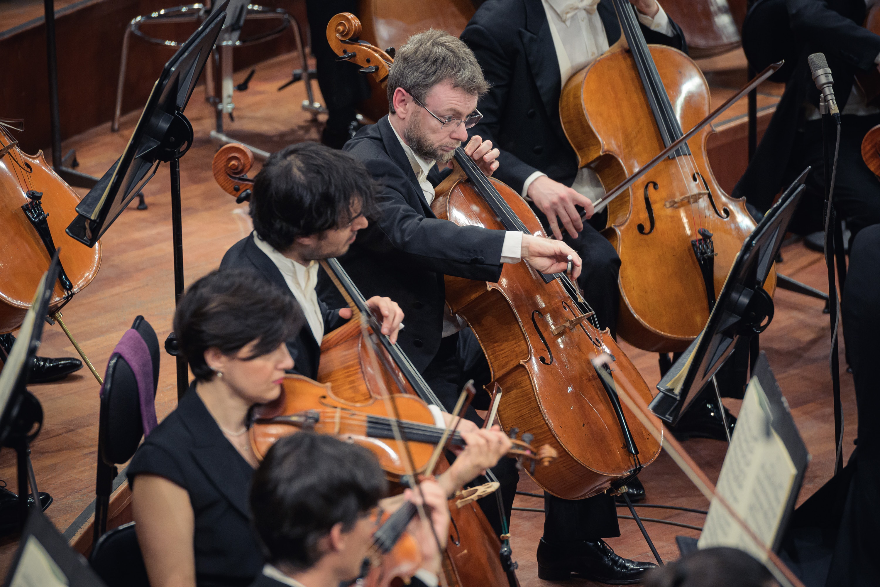 1748591094299_SergioBertani250529-61.jpg