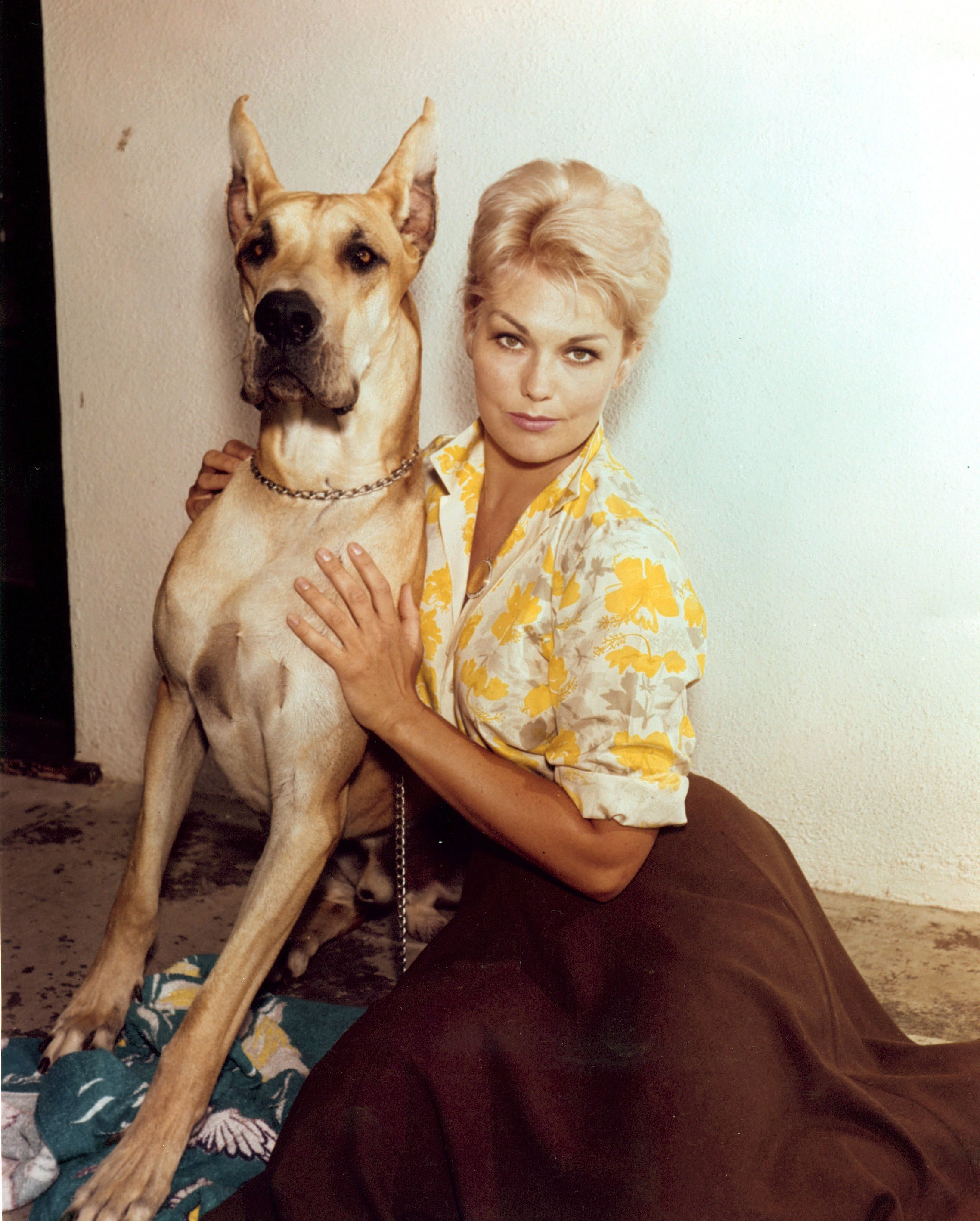 Kim con uno dei suoi cani