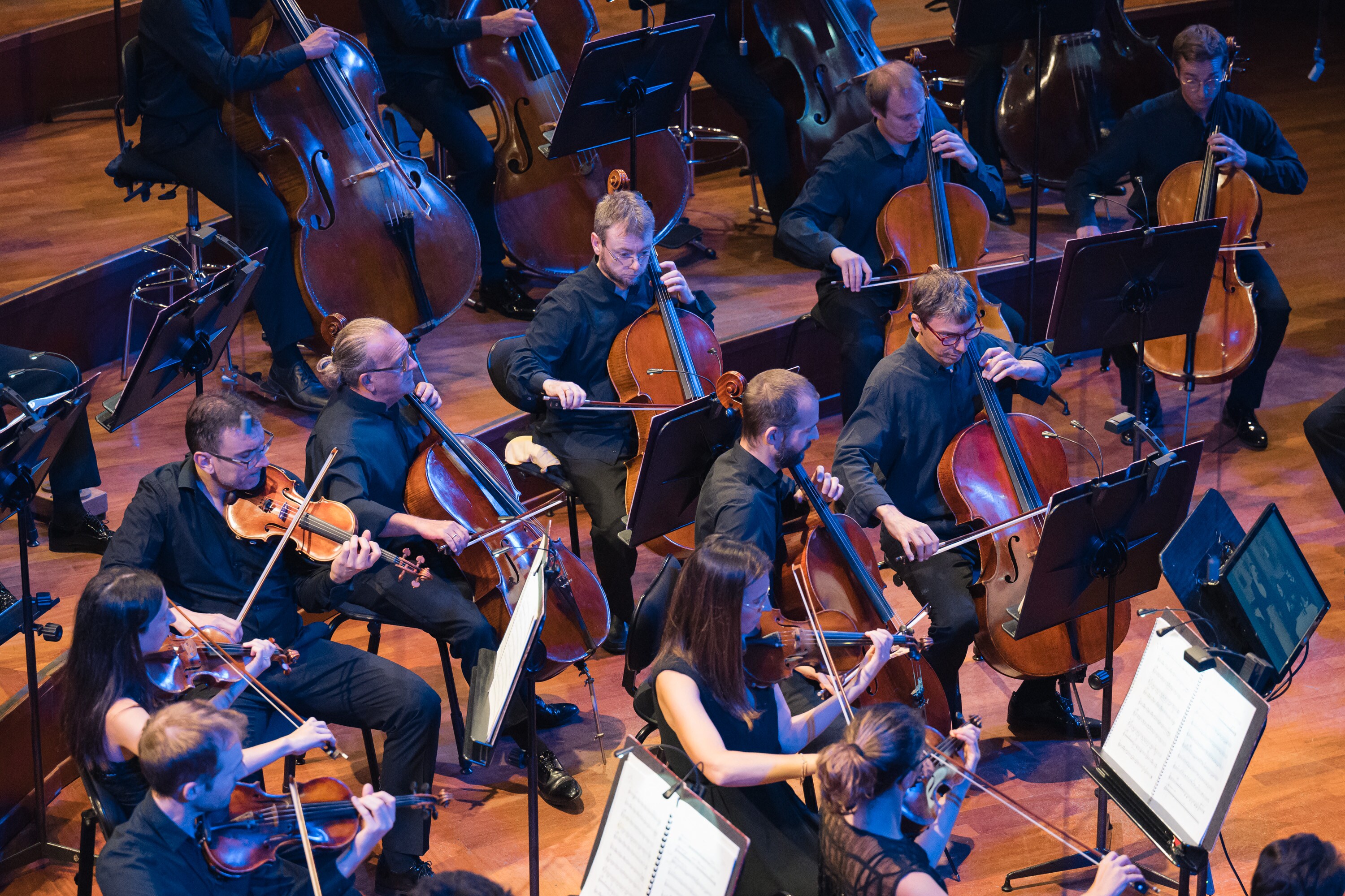 Silent Sound - 19/09/2025