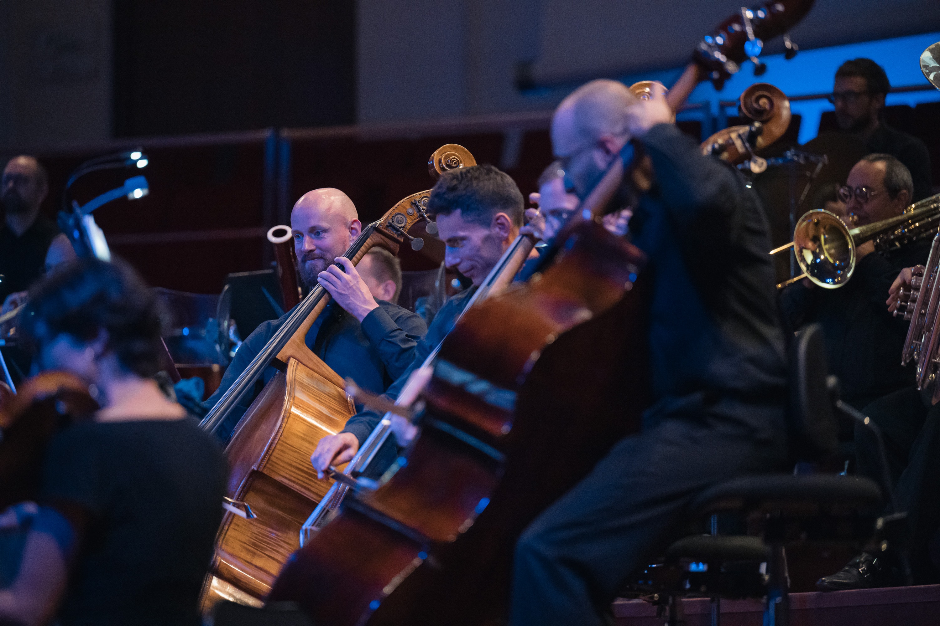 Silent Sound - 19/09/2025