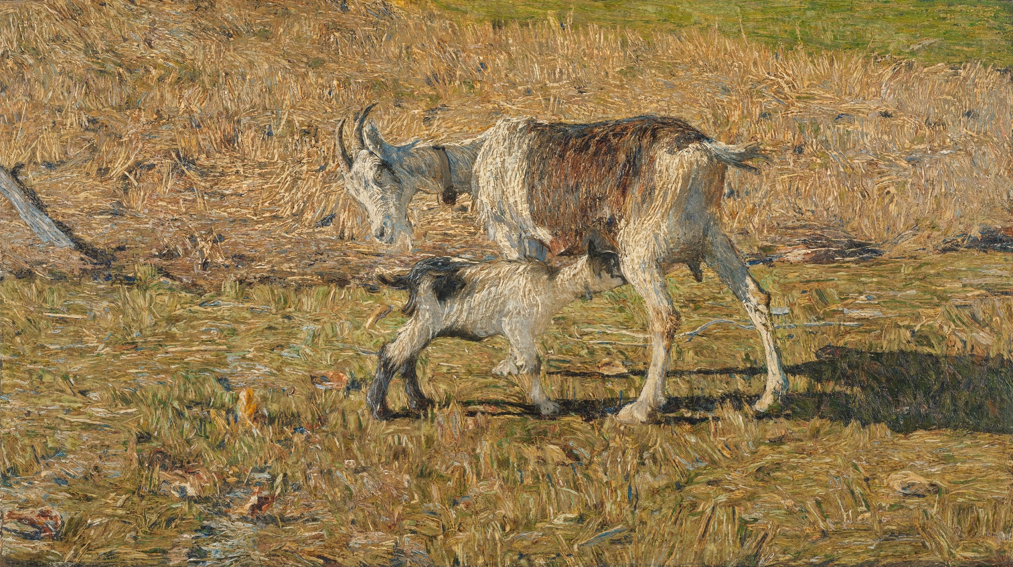 Giovanni Segantini, Alpe di maggio, 1890, olio su tela, 42x73cm., Rijksmuseum, Amsterdam