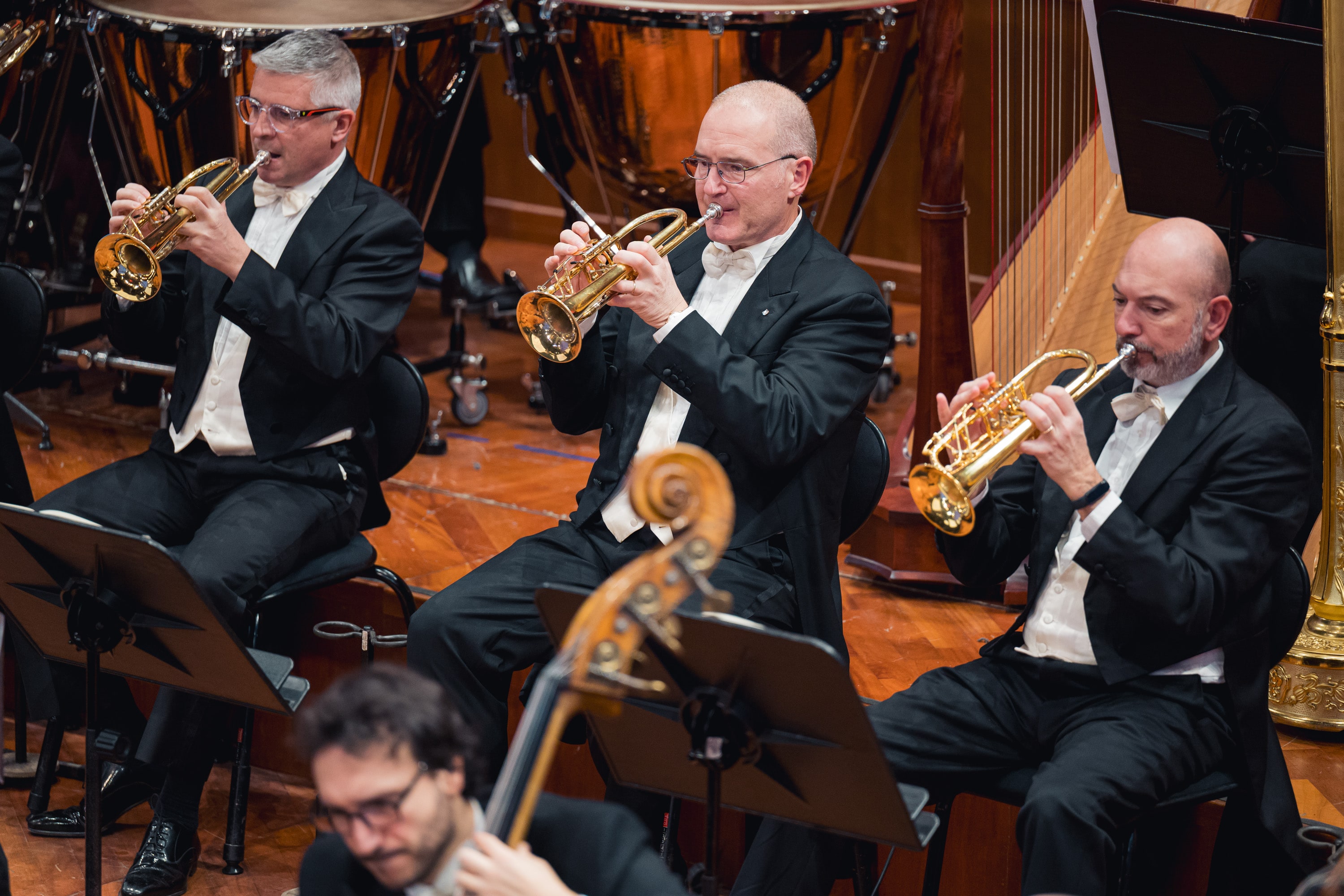 Le foto del concerto n. 6 della stagione 2025/2026 - Credits: DocServizi-SergioBertani/OSNRai