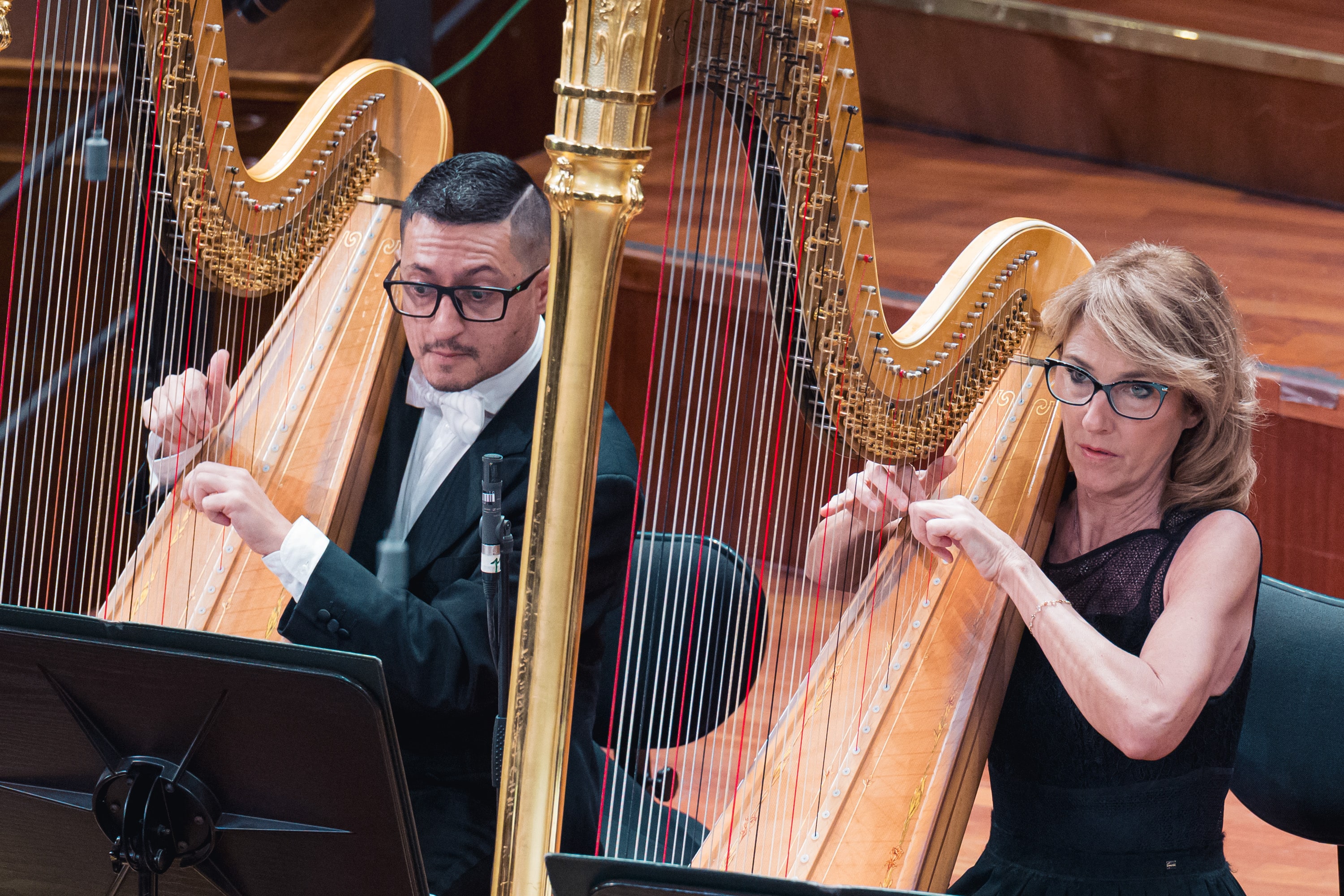 la colonna sonora di Vertigo, capolavoro cinematografico di Alfred Hitchcock, il Divertimento dal balletto Le baiser de la fée di Igor Stravinskij e la Sinfonia n. 6 in si minore op. 74 detta "Patetica" di Pëtr Il'ič Čajkovskij