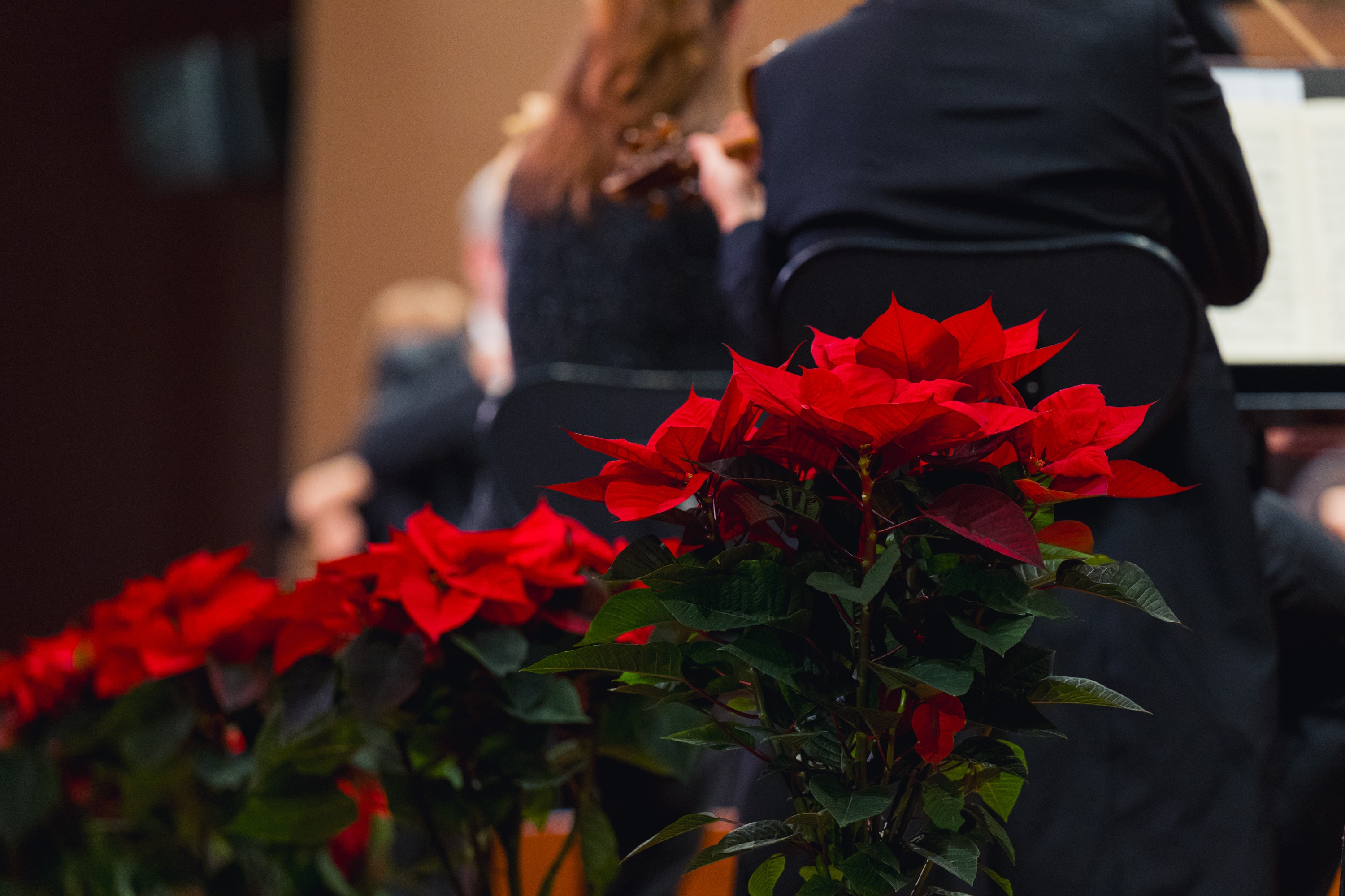 Il Concerto di Natale stagione 2025/2026 - Credits: DocServizi-SergioBertani/OSNRai