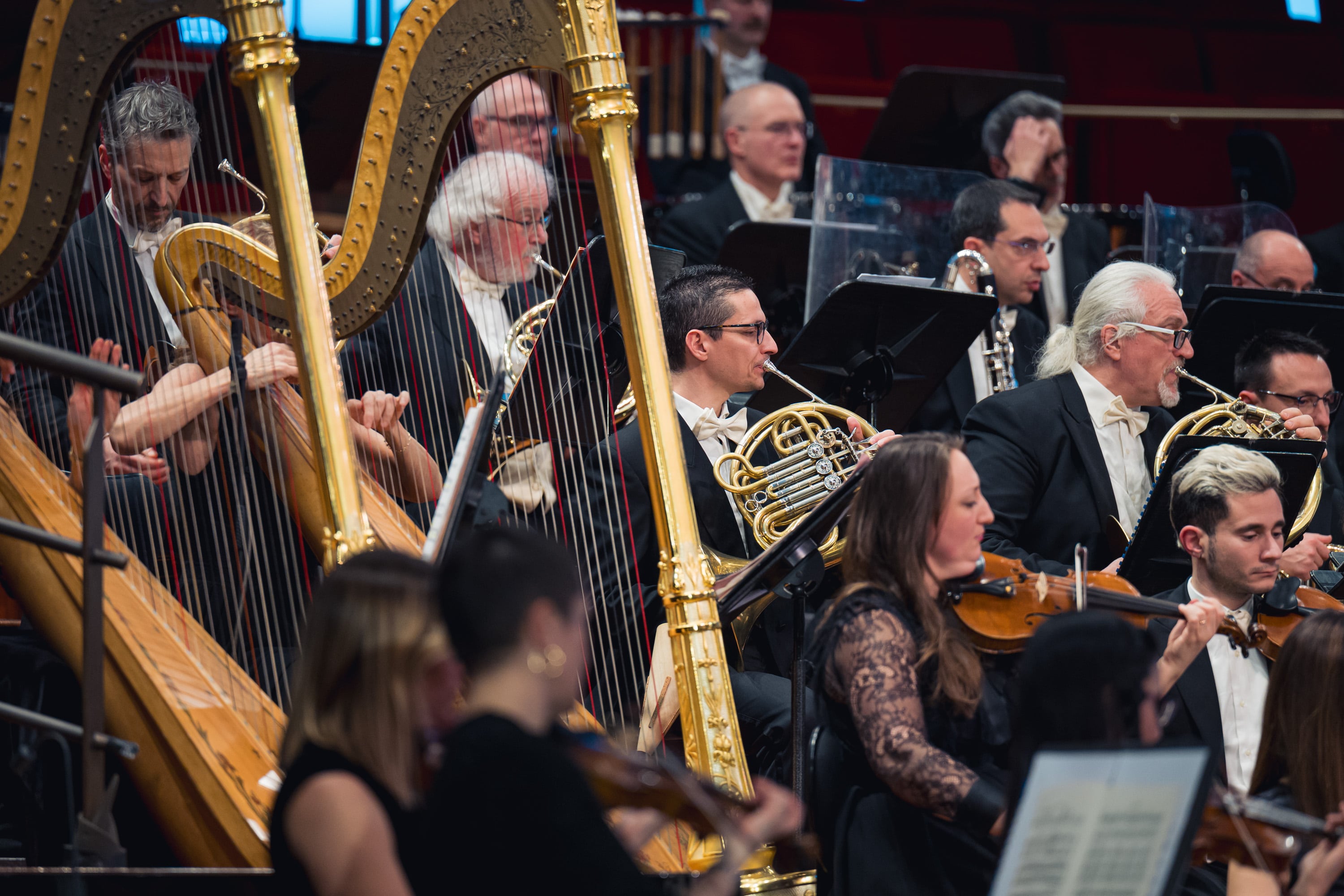 Le foto del concerto n. 8 della stagione 2025/2026 - Credits: Doc-Servizi-SergioBertani/OSNRai