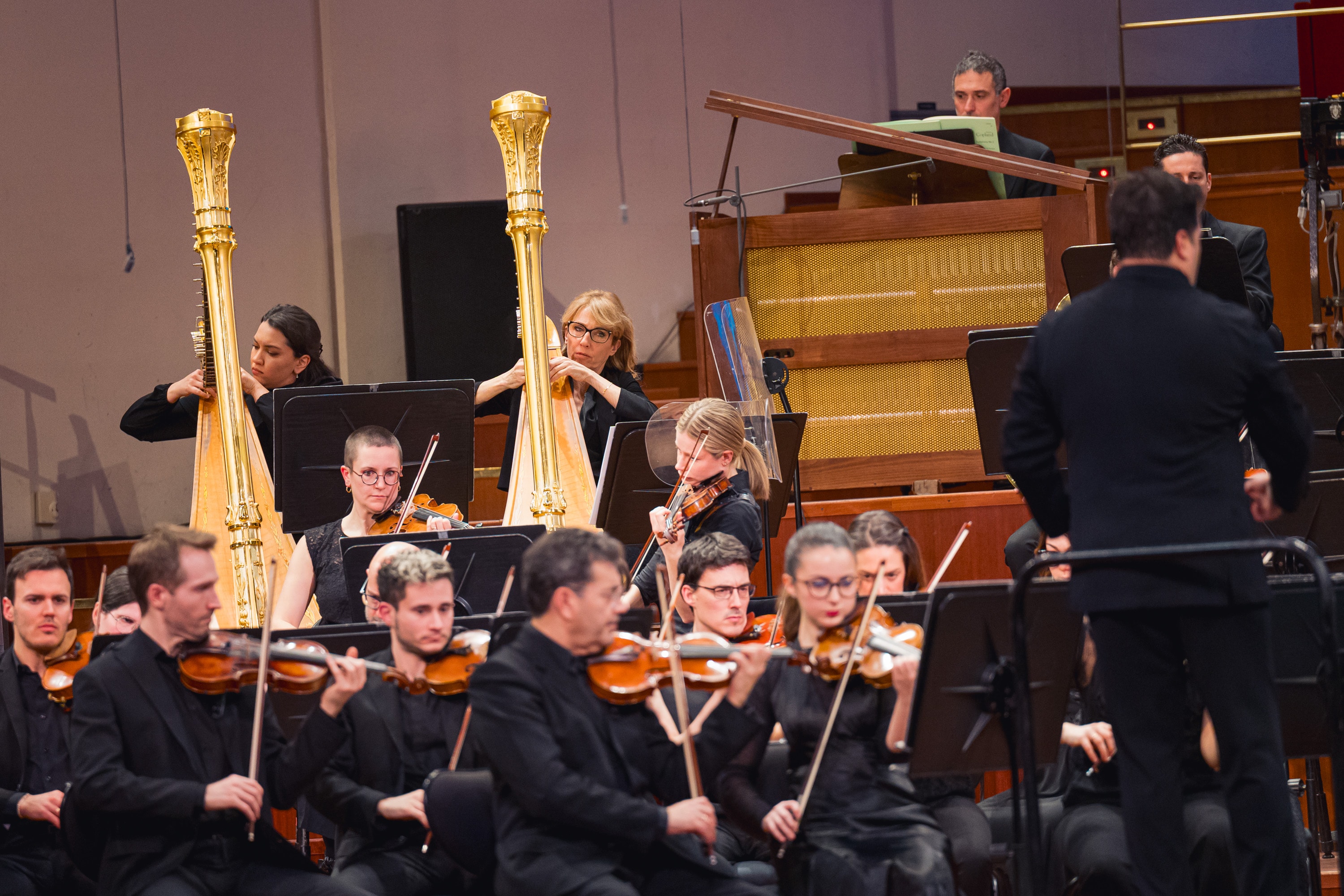 Le foto del secondo concerto di Rai NuovaMusica, stagione 2025/2026 - Credits: Doc-Servizi-SergioBertani/OSNRai