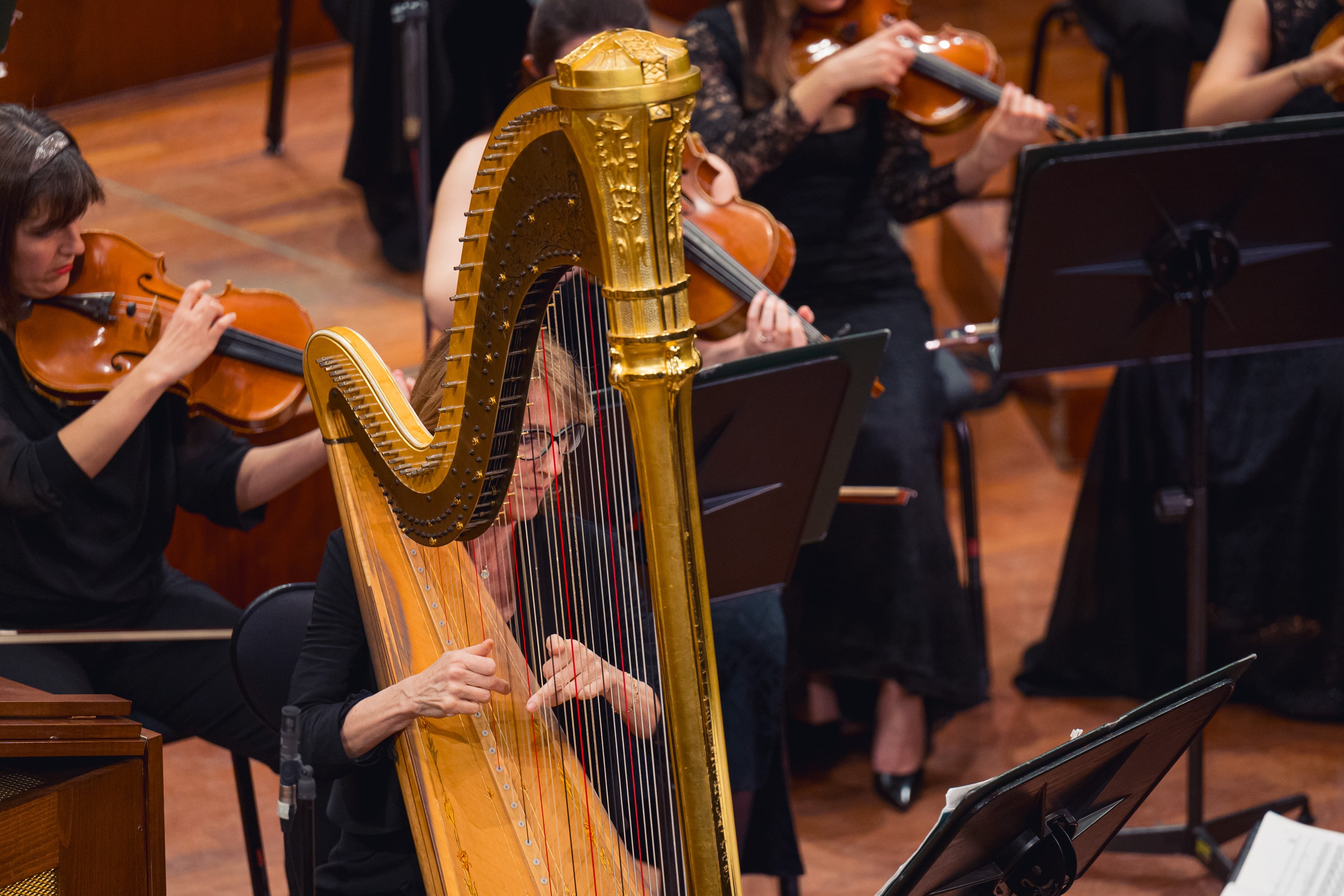 Le foto del concerto n. 17 della stagione 2025/2026 - Credits: Doc-Servizi-SergioBertani/OSNRai
