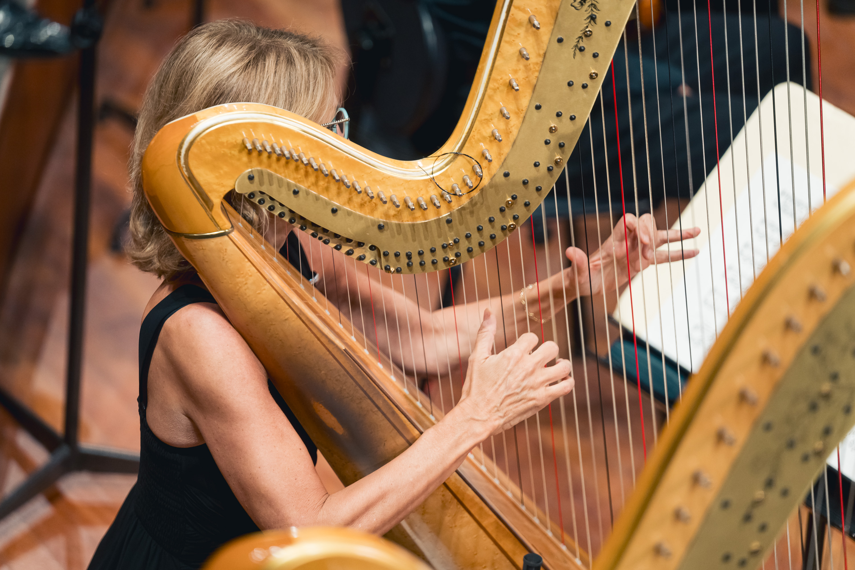 Le foto del concerto di Rai Orchestra POPS del 18/06/2026 - Credits: DcoServizi-SergioBertani/OSNRai