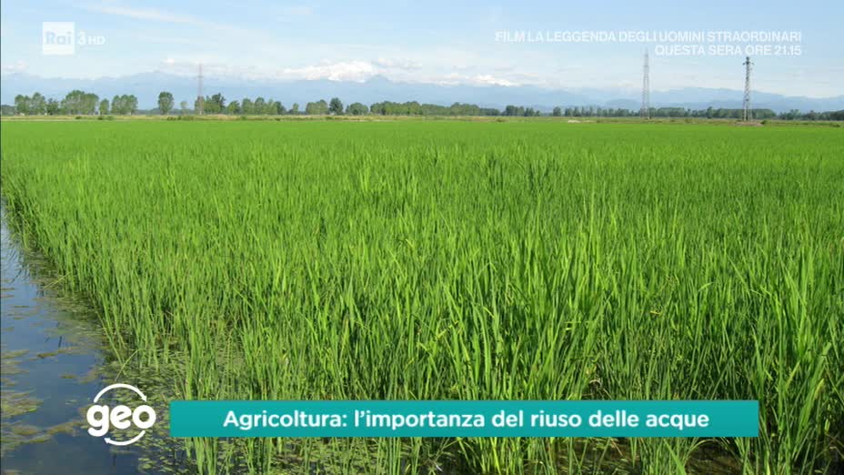 Geo. Agricoltura: importanza del riuso delle acque